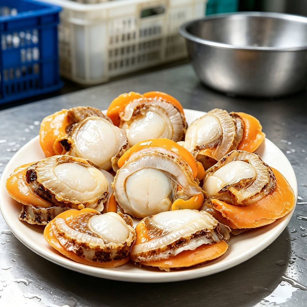 Scallops on the half shell on a white plate